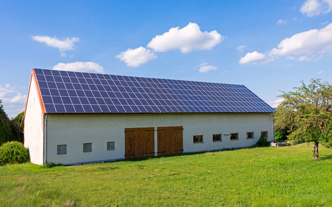 Bando Agrisolare 2025